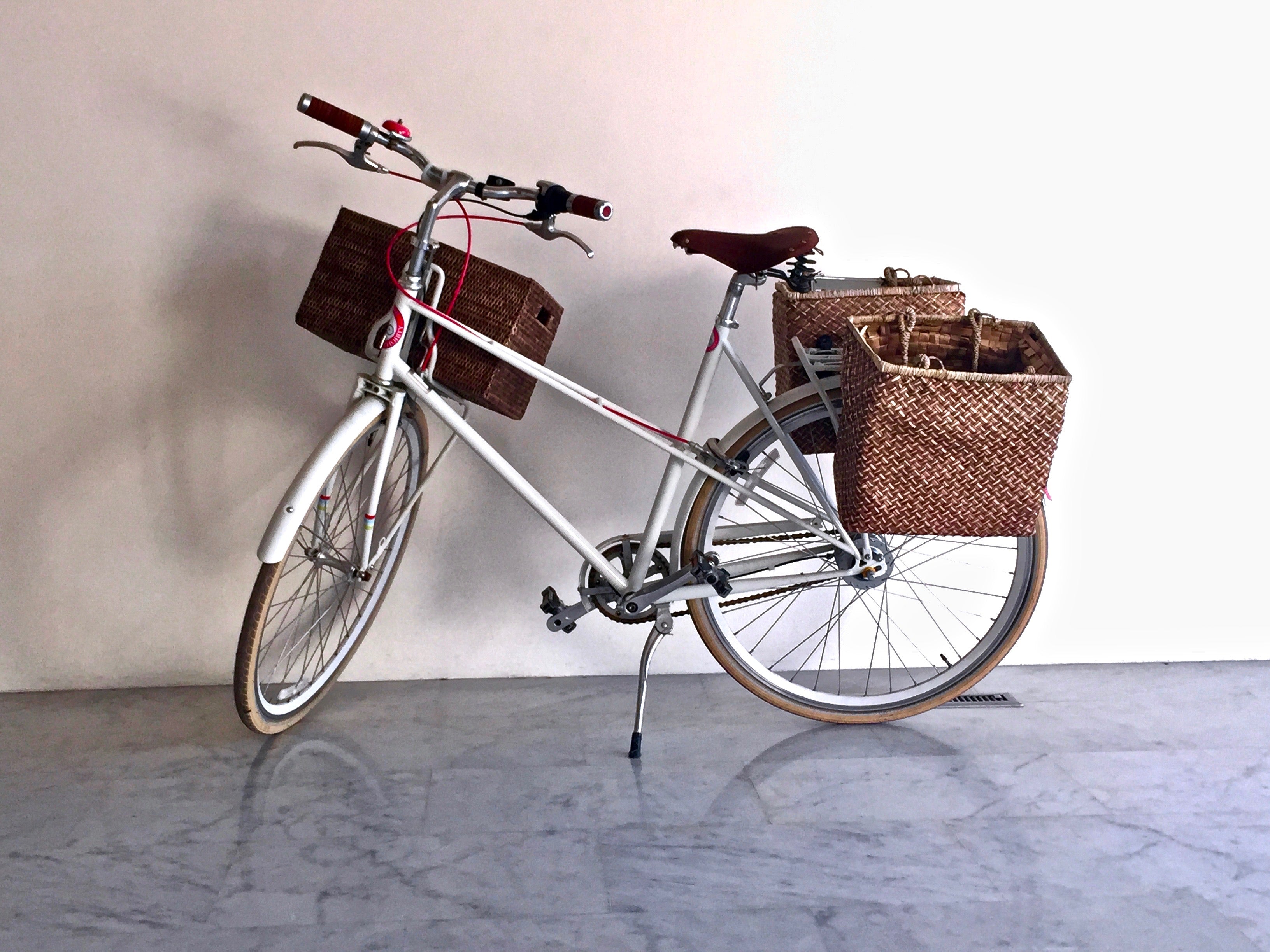 Bicycle Scene – Premium Matte Landscape Poster