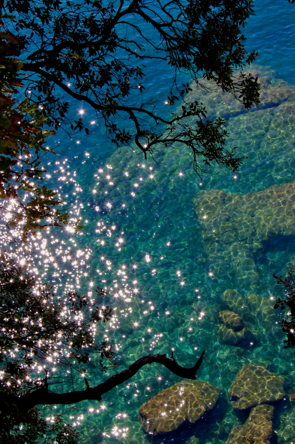 Blue Water Reflection Premium Matte Landscape Print